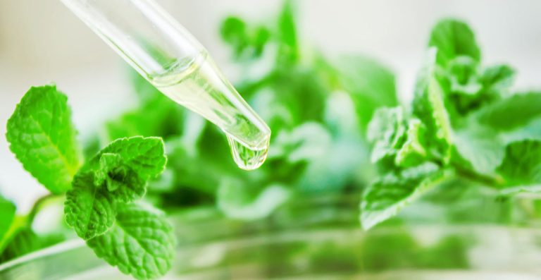 Uncovering the Health Advantages: Exploring the Benefits of Menthol