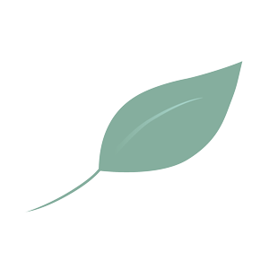 darker natural leaf icon