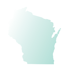 WI state shape icon